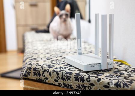Heimrouter im Flur der Wohnung, Sphinx-Katze im Hintergrund Stockfoto