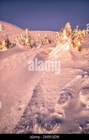 Mount Szeroki Wierch, Bieszczady Nationalpark, Karpaten, Polen. Stockfoto