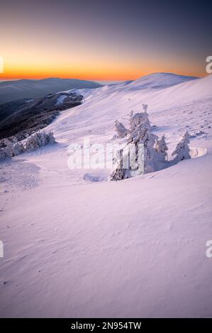 Mount Szeroki Wierch, Bieszczady Nationalpark, Karpaten, Polen. Stockfoto