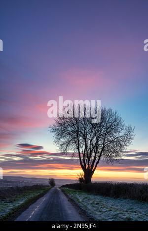 Silhouette des Winterbaums bei Sonnenaufgang in der Nähe von Chadlington, Cotswolds, Oxfordshire. England Stockfoto