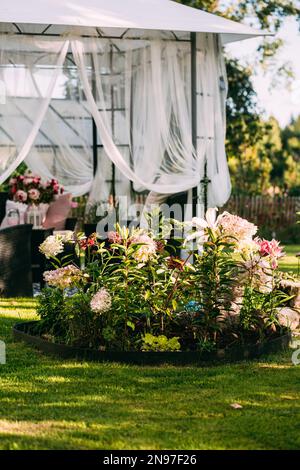 Gartenlaube im Hinterhof, überdachter Zelt, Lounge, Entspannungsbereich im august, schwedischer Garten Stockfoto
