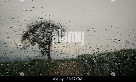 Nasses Fenster. Verschwommener Blick auf einen Baum und eine Straße im Sommer mit Blick durch das Autofenster mit Regentropfen darauf. Reise- oder Traurigkeitskonzept. Stockfoto