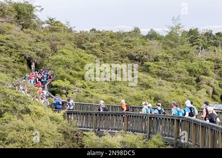 Rotorua, Newzealand. 11. Februar 2023. Die Teilnehmer nehmen am Tarawera Ultramarathon 2023 auf Bergwegen rund um Rotorua in Newzealand am 11. Februar 2023 Teil. Kredit: Lu Huaiqian/Xinhua/Alamy Live News Stockfoto