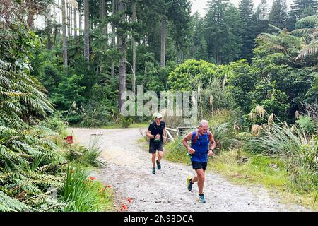 Rotorua, Newzealand. 11. Februar 2023. Die Teilnehmer nehmen am Tarawera Ultramarathon 2023 auf Bergwegen rund um Rotorua in Newzealand am 11. Februar 2023 Teil. Kredit: Lu Huaiqian/Xinhua/Alamy Live News Stockfoto