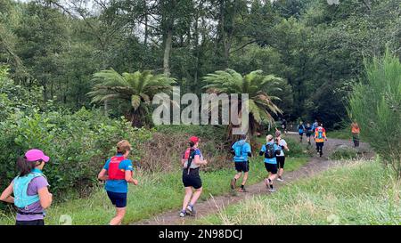 Rotorua, Newzealand. 11. Februar 2023. Die Teilnehmer nehmen am Tarawera Ultramarathon 2023 auf Bergwegen rund um Rotorua in Newzealand am 11. Februar 2023 Teil. Kredit: Lu Huaiqian/Xinhua/Alamy Live News Stockfoto