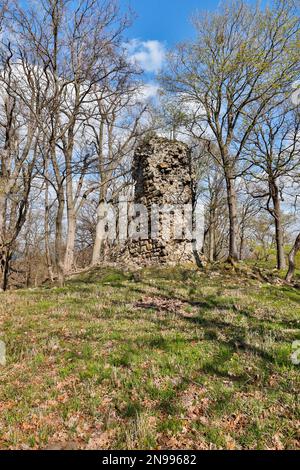 Lauenburg bei Stecklenberg Harz Stockfoto