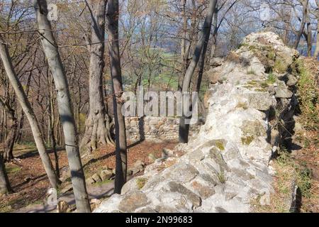 Lauenburg bei Stecklenberg Harz Stockfoto