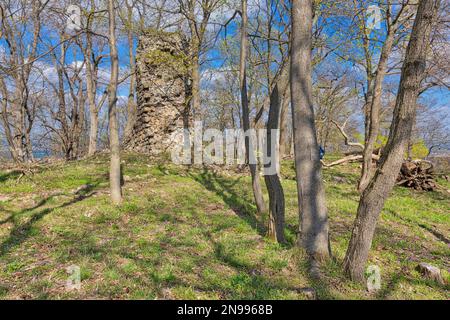 Lauenburg bei Stecklenberg Harz Stockfoto