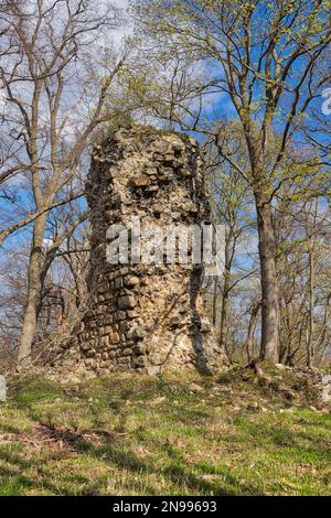 Lauenburg bei Stecklenberg Harz Stockfoto