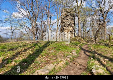 Lauenburg bei Stecklenberg Harz Stockfoto