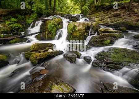 Selke-Wasserfall im Harz-Gebiet Harzgerode Selke Valley Stockfoto