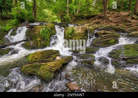Selke-Wasserfall im Harz-Gebiet Harzgerode Selke Valley Stockfoto