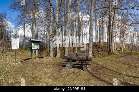 Archäologisches Denkmal Erichsburg Schlösser und Paläste im Harz-Gebirge Stockfoto