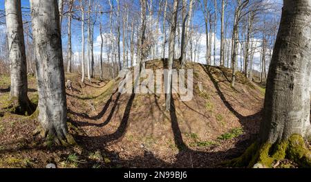 Archäologisches Denkmal Erichsburg Schlösser und Paläste im Harz-Gebirge Stockfoto