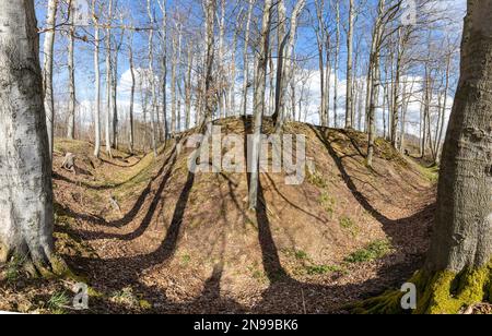 Archäologisches Denkmal Erichsburg Schlösser und Paläste im Harz-Gebirge Stockfoto