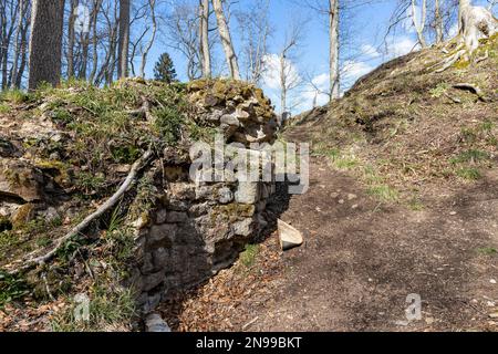 Archäologisches Denkmal Erichsburg Schlösser und Paläste im Harz-Gebirge Stockfoto