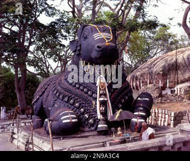 16 Meter hoher Monolith Nandi-Stier in Chamundi Hill, Mysuru oder Mysore, Karnataka, Indien, Asien Stockfoto