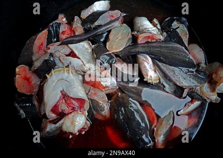 Rohes Fischfleisch, das in einem schwarzen Becken gereinigt wurde Stockfoto