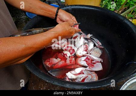 Frauenhände waschen Fische, die in ein schwarzes Becken geschnitten wurden Stockfoto