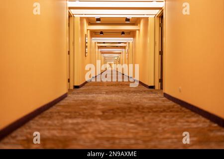 Langer Hotelkorridor, Flur, mit Türen, Teppich und gelbbeigefarbenen Tönen. Stockfoto