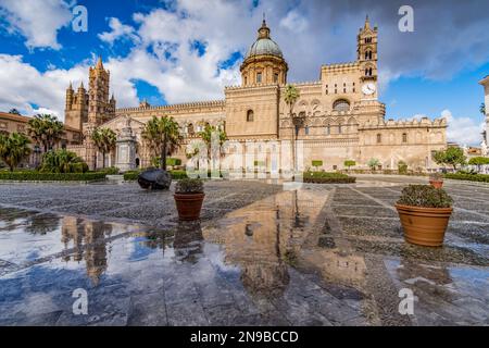 Die Kathedrale von Palermo spiegelt sich auf dem nassen Boden, Sizilien Stockfoto