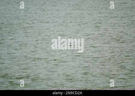 Abstrakter Hintergrund von Wellenwasser in einem See Stockfoto