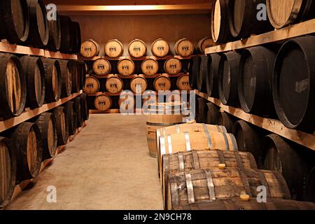 Ein Whiskey aus Roggen, der in Fässern reift Stockfoto