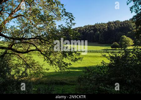 Wandern in der Schweiz an einem sonnigen Sommertag Stockfoto