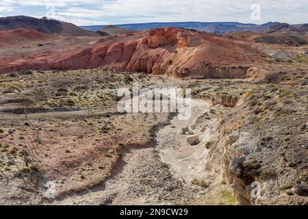 Machen Sie einen Spaziergang durch das wunderschöne Tierra de Colores im Parque Patagonia in Argentinien, Südamerika Stockfoto