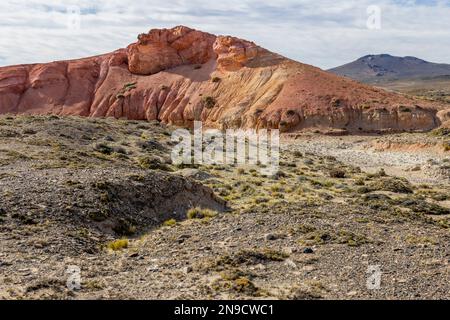 Machen Sie einen Spaziergang durch das wunderschöne Tierra de Colores im Parque Patagonia in Argentinien, Südamerika Stockfoto