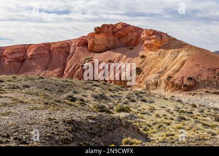 Machen Sie einen Spaziergang durch das wunderschöne Tierra de Colores im Parque Patagonia in Argentinien, Südamerika Stockfoto