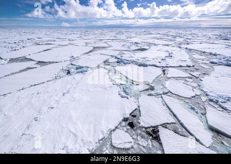 Eisschollen im Rudel Eis in der Nähe von Cape Crozier, Ross Sea, Antarktis Stockfoto