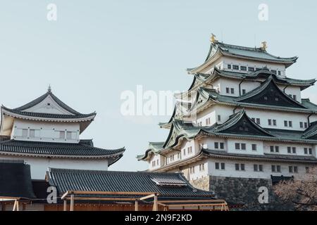 Schloss Nagoya in Nagoya, Japan Stockfoto