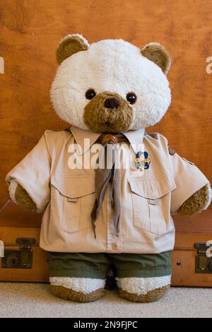 teddybär gekleidet als Pfadfinderin aus Tschechien - Junak - Pfadfinder Stockfoto