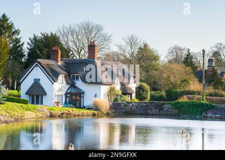 Wunderschönes strohgedecktes Häuschen und Teich in der Shropshire Village von Badger in Großbritannien Stockfoto
