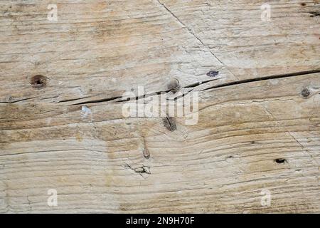 Rustikale verwitterte Holzplanke, Vollformat-Hintergrundstruktur in Grau und Braun, Konzept für Natur, Architektur und Konstruktion, Kopierbereich Stockfoto