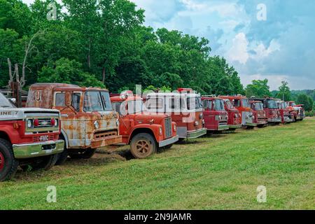 Eine Sammlung von alten Feuerwehrfahrzeugen, die im Freien auf einem Feld auf die Restaurierung warteten, verrostete gemeinsam in den Ruhestand Stockfoto