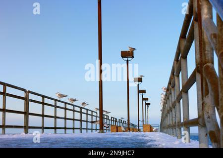 Eis und Schnee bedecken den Pier, an dem Möwen auf dem Geländer im Edgewater Park am Lake Earie Shores in Cleveland, Ohio, sitzen. Stockfoto