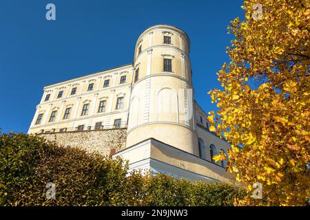 Schloss Mikulov, eine der wichtigsten Burgen in Südmähren, Blick von Mikulov Stadt, Tschechische Republik Stockfoto