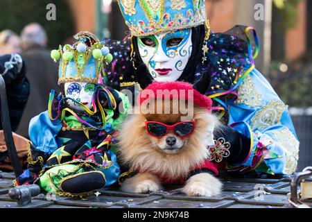 Venedig, Italien. 12. Februar 2023. Venedig, Italien. Dog Romeo schließt sich feierlichen Feiern für den alljährlichen Carnevale di Venezia, Karneval in Venedig an. Foto: Vibrant Pictures/Alamy Live News Stockfoto