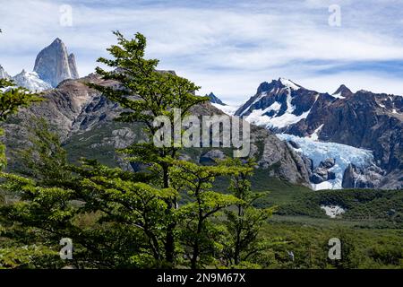 Blick auf den wunderschönen Gletscher Piedras Blancas während der Wanderung zur Laguna de los Tres und zum Mount Fitz Roy in Patagonien, Argentinien, Südamerika Stockfoto