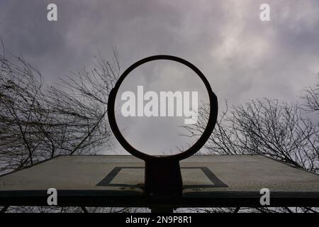 Nahaufnahme Basketballkorb, tiefer Winkel mit trockenen Baumzweigen Stockfoto
