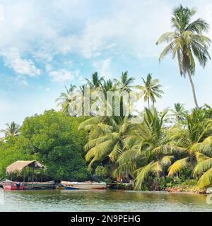 Der äquatorialen Wald und Boote auf dem See Stockfoto