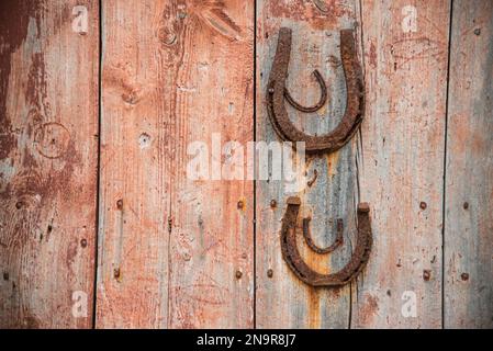 Alte rostige Hufeisen hängen an einer Holztür; Battle Harbour, Neufundland und Labrador, Kanada Stockfoto