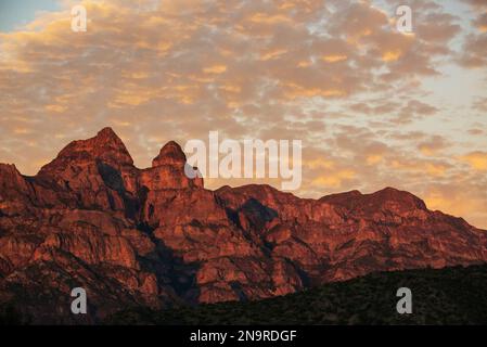 Sonnenaufgang über der Sierra de la Giganta; San Javier, Baja California Sur, Mexiko Stockfoto