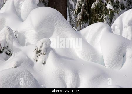 Schneehügel bildeten sich am Mount Hood in den Oregon Cascades, USA; Oregon, Vereinigte Staaten von Amerika Stockfoto