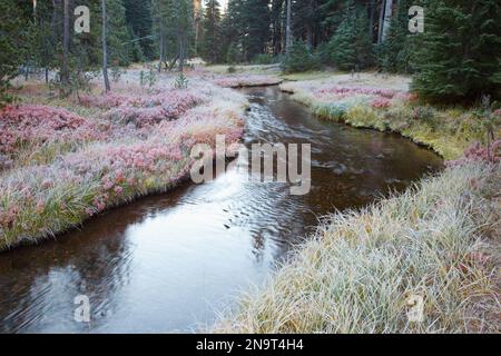 Morgenfrost am Sparks Lake in der Three Sisters Wilderness; Oregon, Vereinigte Staaten von Amerika Stockfoto