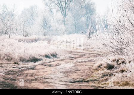 Eine winterliche, unbefestigte Straße, beleuchtet von den Sonnenstrahlen des Morgens, während Pflanzen und Bäume von Frost bedeckt sind. Stockfoto