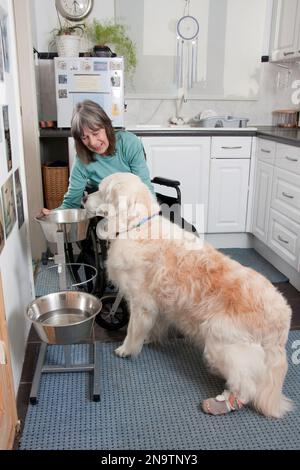 behinderte Frau im Rollstuhl, die Zubereitung von Speisen für ihren Hund Stockfoto