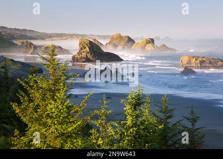 Das Morgenlicht verleiht Cape Sebastian an der South Oregon Coast, Oregon, USA, Schönheit Stockfoto